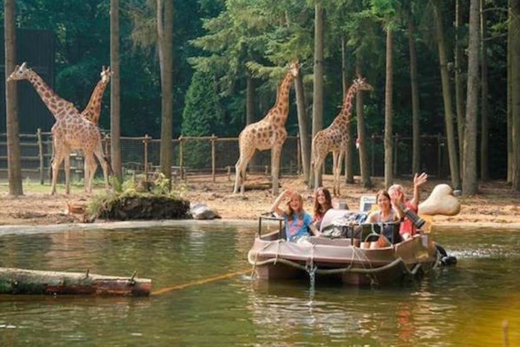 Comfort Villa For 8 People ゼーウォルデ エクステリア 写真